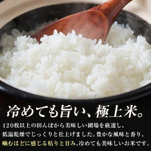 【寄附額を見直しました！】令和7年産 大田原市 藤田farmのコシヒカリ 【無洗米】 5kg ｜栃木県産 米 お米  コメ こしひかり コシヒカリ 栃木県 【選べる容量】5kg 10kg  数量限定