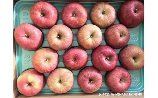 【2026年2月発送】りんご 霜待ちふじ 約5kg（10～20玉入り）