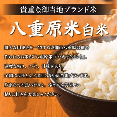 ふるさと納税 東御市 令和8年新米受付【12回定期便】八重原米2kg(2kg×1袋)白米※2026年10月以降発送 |  | 01