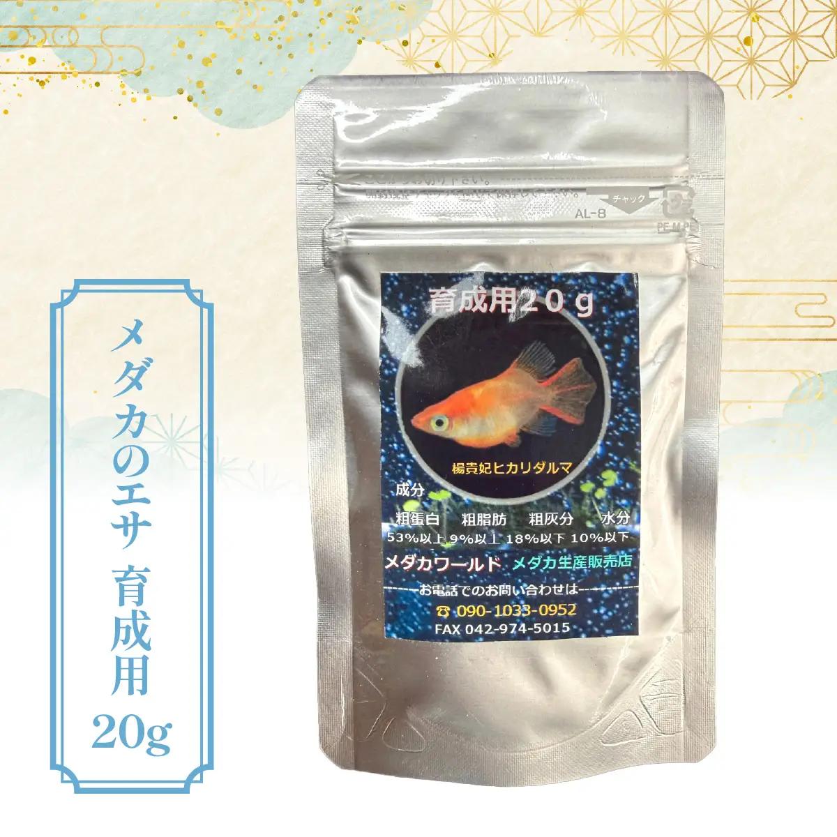 メダカ「ダルマメダカ」 ミックス5匹セット 生き物生き物 HNNAD003
