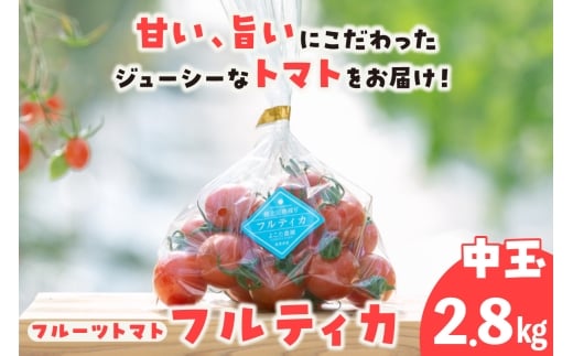 フルーツトマト　中玉フルティカ2.8kg│よこた農園 フルティカ 野菜 トマト 新鮮野菜 太陽の恵み 中玉トマト トマト料理 愛知県産 フルーツとまと 甘いトマト お取り寄せ グルメ 常滑市