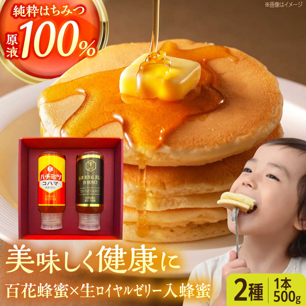 【ふるさと納税】コハマのハチミツ 500g 2本セット 蜂蜜 はちみつ ハチミツ 国産 ギフト 父の日 沖縄市 / 農業生産法人株式会社小浜養蜂場 [BCAQ004]