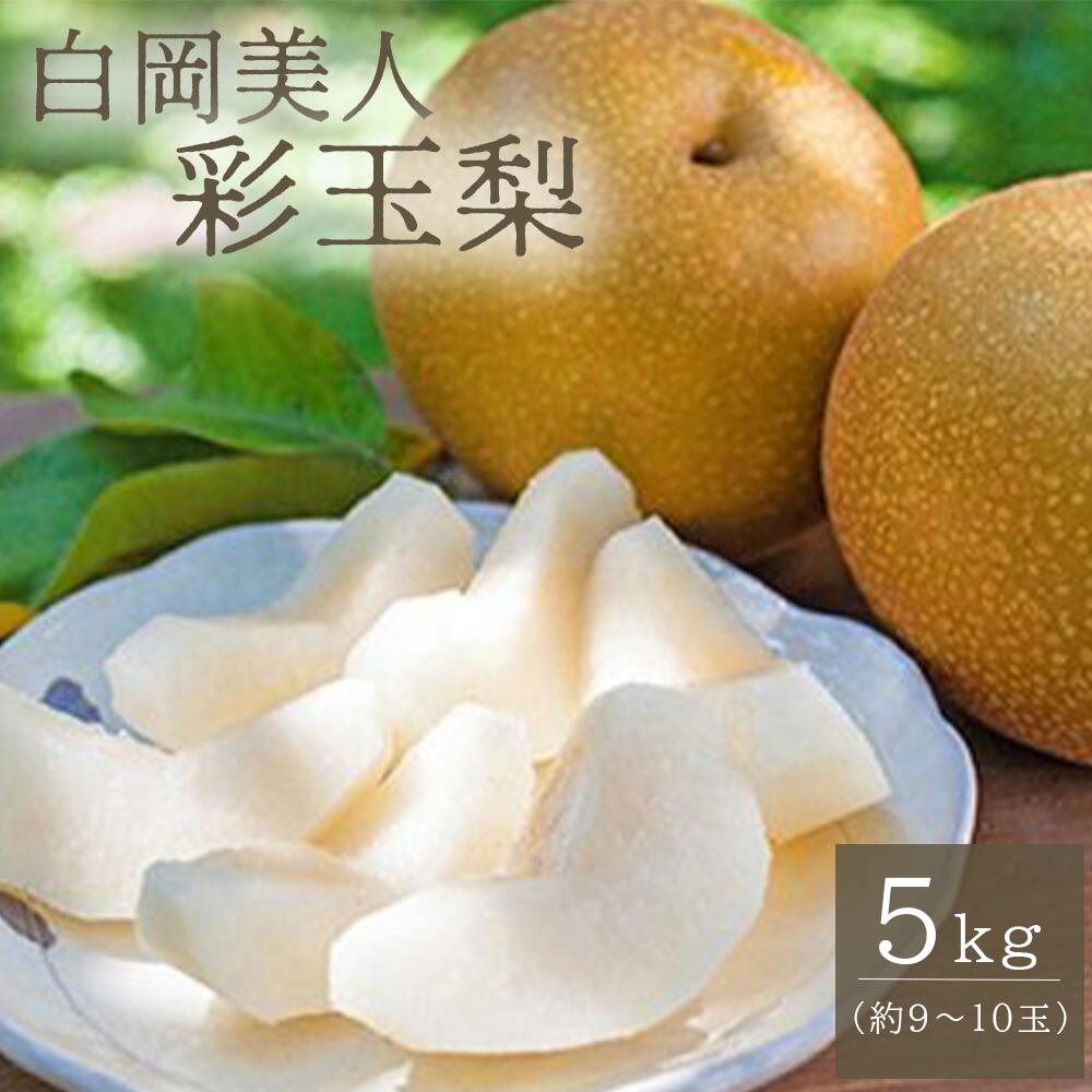 【ふるさと納税】白岡の梨「白岡美人」彩玉梨 約5kg（9玉～10玉）　【11246-0079】 果物 梨 フルーツ 送料無料 白岡市 埼玉県