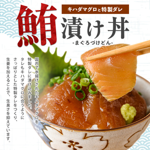 【指宿直送便】マグロ漬け丼と天然鯛茶漬けセット各3P (指宿山川水産/IB035-002) 鮪 マグロ キハダマグロ 鯛 漬け 漬け丼 茶漬け 海鮮 魚介類 小分け 国産 冷凍