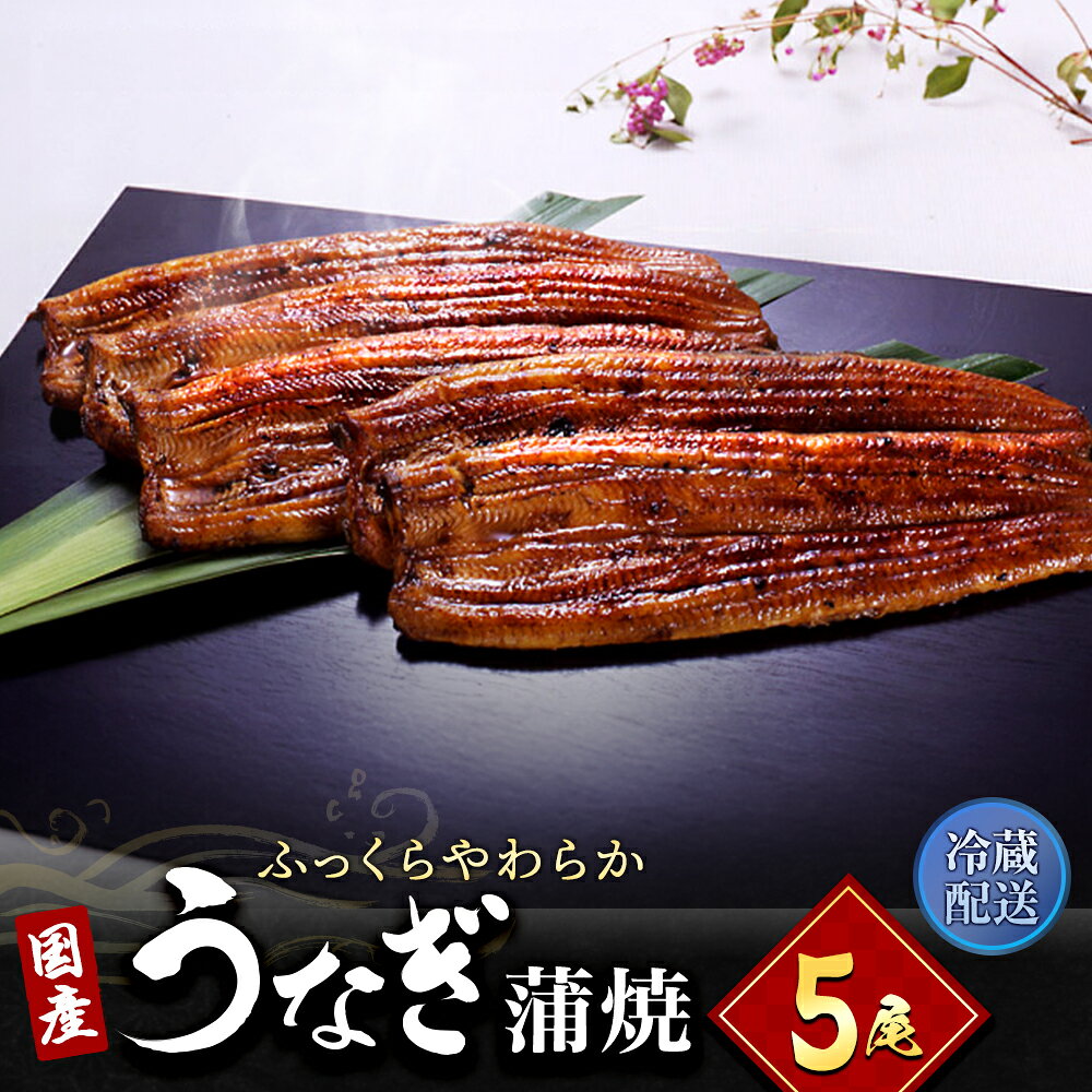 【ふるさと納税】うなぎ 国産 5尾 小分け 詰め合わせ 長蒲焼 蒲焼き うな重 鰻 真空パック 冷蔵配送 土用の丑の日 惣菜 おかず 静岡県 浜松市 ギフト