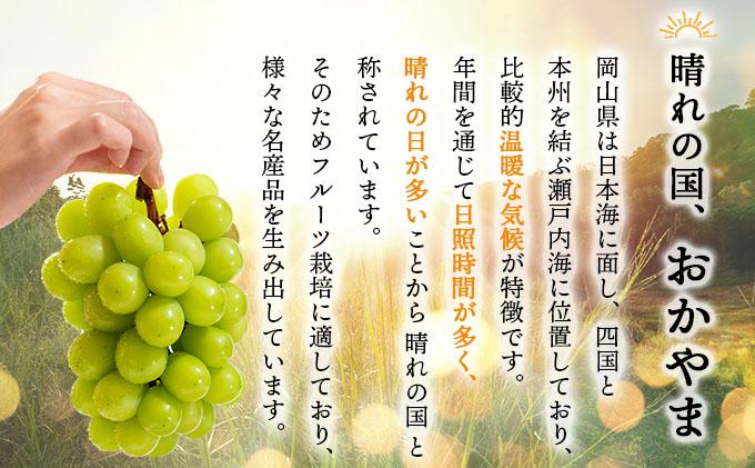 ＜2025年発送分 先行予約＞梅村ファーム 朝摘み直送 シャインマスカット（3房〜5房 約2kg）【030-a006】