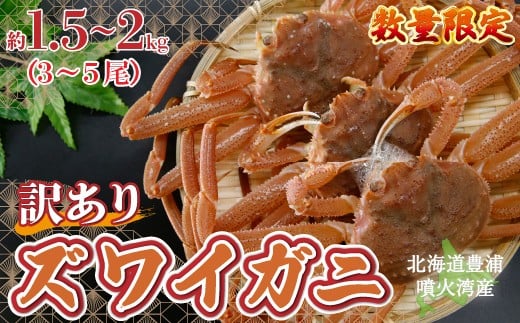 【訳あり】 北海道 豊浦 噴火湾 ズワイガニ 約1.5～2kg（3～5尾） 数量限定 【 ふるさと納税 人気 おすすめ ランキング 魚介類 カニ かに 蟹 ズワイガニ ずわいがに 訳あり 大容量 おいしい 美味しい 新鮮 北海道 豊浦町 送料無料 】 TYUR041