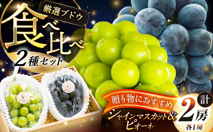 【先行予約：2026年8月中旬より発送】【贈答用】農家直送の2品種を食べ比べ！シャインマスカット 1房 ピオーネ 1房（約950g）秀品・化粧箱入り 島根県雲南市/ギアファーム [AIAB016]