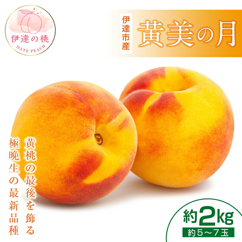 《先行予約》黄美の月 2kg（5〜7玉） 桃 もも モモ 黄桃 極晩生 新品種 糖度 果物 フルーツ ふるさと納税 予約 福島県 伊達市