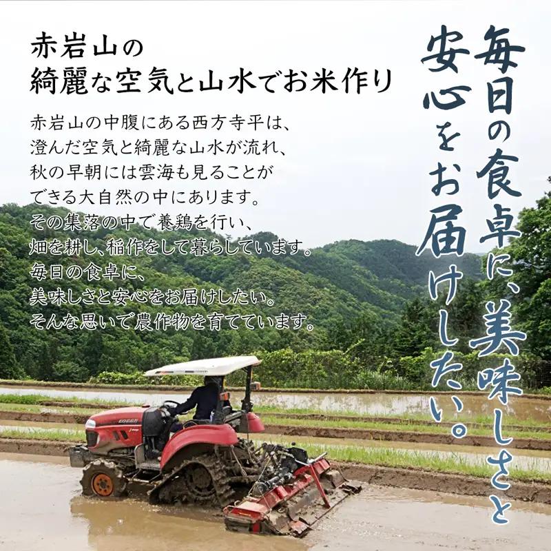令和8年度産 新米 予約受付 棚田米 10kg 玄米 コシヒカリ 特別栽培米 7割削減