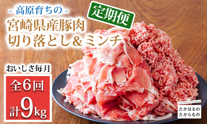 【定期便6回】 豚肉詰め合わせ《寄付金45,000円で合計9kg！》国産 豚肉切り落とし＆豚肉ミンチ コスパ抜群と話題の大容量2種セット 合計9000g TF0769