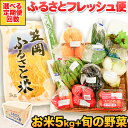 【ふるさと納税】【定期便あり】選べる回数 ふるさとフレッシュ便 米15kg 野菜 果物 8種 JA晴れの国岡山 笠岡アグリセンター 米5kg 旬の野菜(果物)8種類以上 定期 計1回 3回12回お届け 笠岡ふるさと米 野菜 果物 送料無料 岡山県 笠岡市