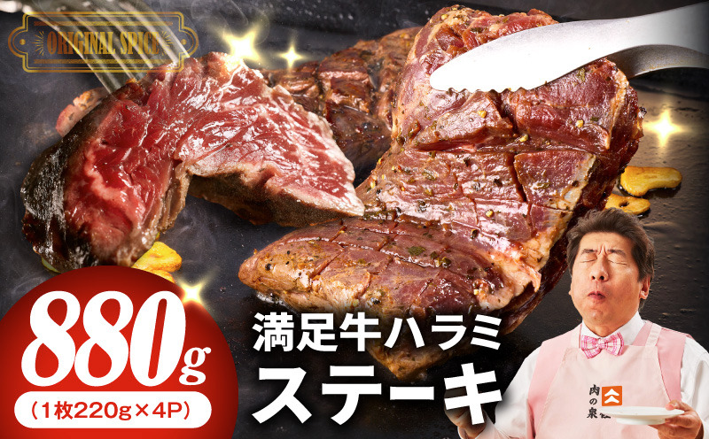 099H4181 【満足牛ハラミステーキ】オリジナルスパイス仕込み 1枚220g×4P 合計880g 【味付け ハラミ ステーキ 小分け 焼くだけ 簡単調理 BBQ 牛肉】