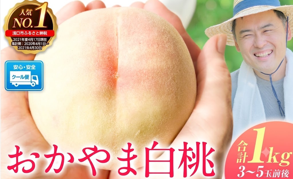 
                  桃 もも ご家庭用/訳あり おかやま白桃 もも 1kg 3~5玉前後 岡山県産《2027年6月下旬-8月下旬頃発送》岡山県 浅口市 白桃 黄桃 白鳳 清水白桃 おかやま夢白桃 川中島白桃 白皇 黄金桃 果物 桃 2027 先行 桃 先行予約2027 桃 先行予約2027 桃 白鳳 桃 
                