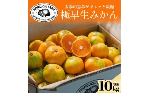 【先行受付】五代目が厳選した【極早生みかん10kg】愛媛県川上産【E70-35】【1536338】 YWTK035