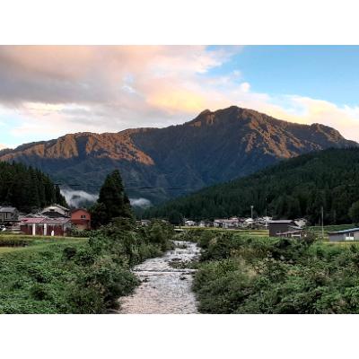 ふるさと納税 糸魚川市 新潟県産 糸魚川産令和6年産 コシヒカリ 100% 精米 10kg |  | 03