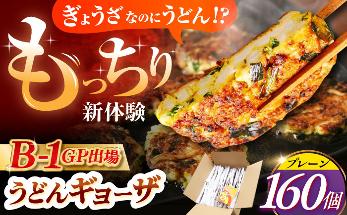 
            高槻うどんギョーザふるさとギフト 【プレーン＆カレー 160個】 餃子 ぎょうざ ギョーザ うどん 焼きうどん お好み焼き 食品 贈答 ギフト 産地直送 取り寄せ 送料無料 大阪 91000円 大阪府高槻市/高槻うどんギョーザの会 [AOAU005] 
          