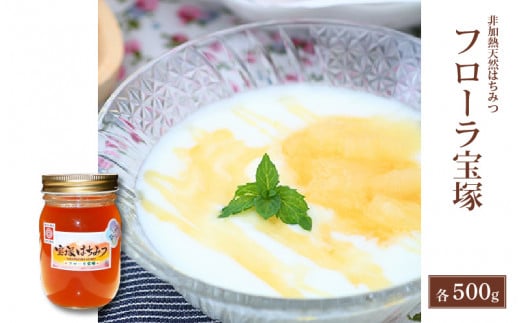 【先行予約】非加熱 国産はちみつ フローラ宝塚 500g / はちみつ 国産 アカシヤ 甘い 調味料 純粋はちみつ ビン 瓶詰め 保存 保存食 ブレンド ※2025年7月下旬より順次発送予定