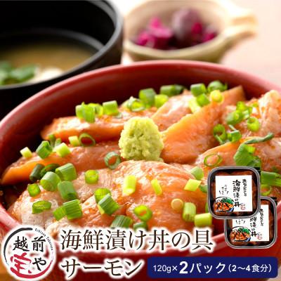 ふるさと納税 福井市 海鮮漬け丼の具 福井サーモン / 120g×2パック(2〜4食分)