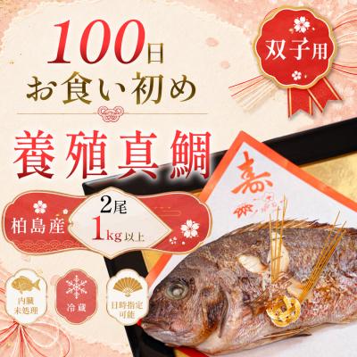ふるさと納税 大月町 お食い初め 真鯛 2尾 双子 1kg以上 尾頭付き 鯛 2匹 真空パック 祝い鯛 100日祝い
