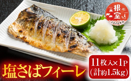 
                  G-14021 塩さばフィーレ11枚入×1P(計約1.5kg)
                