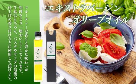 オリーブオイルセット 200ml×5本 スペイン産