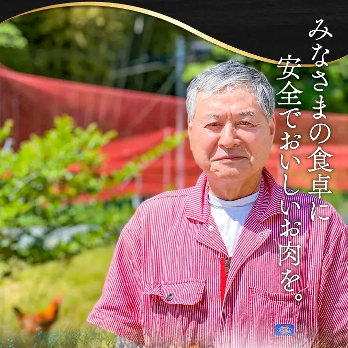 【熟成】銀山赤どり精肉定期便（１羽分×12回お届け）【鶏肉 定期便 地鶏 もも肉 むね肉 1羽分 まるごと 1kg～1.2kg 12回 合計12羽分 定期 鶏 赤鶏 赤どり 熟成 冷凍 真空パック 国