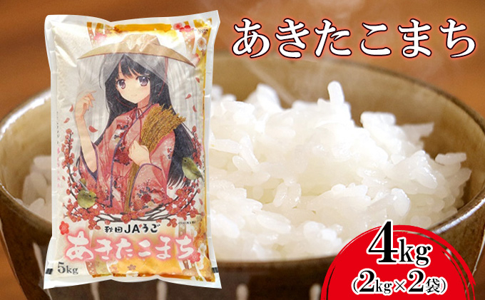 
美少女イラスト 粒がひと回り大きい 高品質米 あきたこまち2kg×2袋
