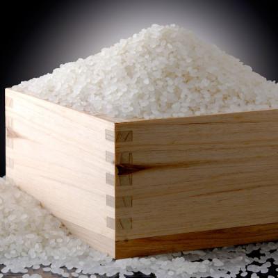 ふるさと納税 南魚沼市 【令和8年産 新米予約】南魚沼産こしひかり「秋雪」白米5kg 新潟県の特A地区南魚沼市の美味しいお米 |  | 01