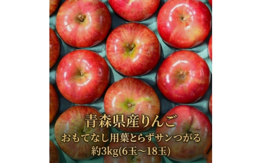 ＜2026年9月から発送予定＞平均糖度12度以上! 葉とらずサンつがる 約3kg おもてなし用【1734910】