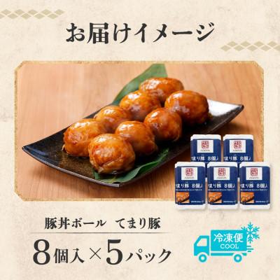 ふるさと納税 帯広市 十勝 豚丼ボール(8個入り×5パック)秘伝のたれ付き ひと口おにぎり 北海道 帯広市 |  | 03