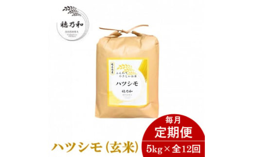 ＜毎月定期便＞岐阜県産ハツシモ(玄米)5kg全12回【4056247】