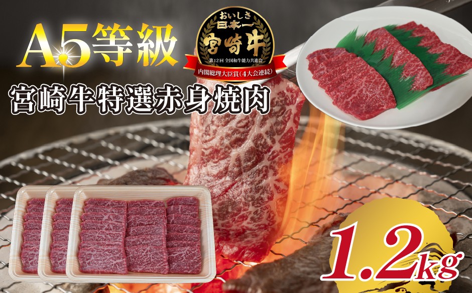 
            【A5等級】宮崎牛特選赤身焼肉 1.2kg  宮崎牛 ブランド牛 和牛 牛肉 焼肉 特選和牛 赤身 A5 宮崎県 小林市
          