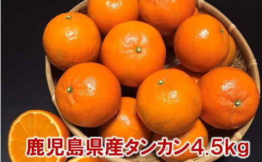 002-25 こだわりの薩摩濃密タンカン4.5kg