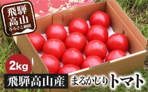 【2025年予約受付】【2025夏】飛騨高山産 トマト『麗月』 2kg | とまと 産地直送 野菜 夏野菜 飛騨高山 まるかじり農園 FW002