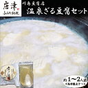 【ふるさと納税】温泉ざる豆腐セット500g (約1人～2人前) 川島特製出汁つき 国産大豆 ざる豆腐 川島豆腐店 おつまみ ギフト 「2024年 令和6年」