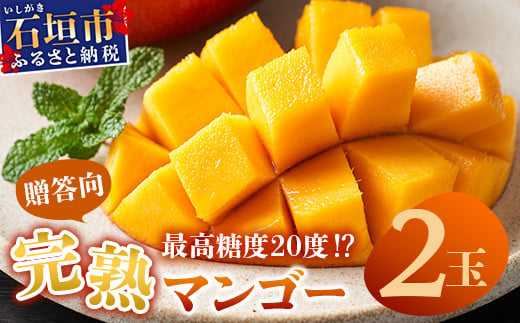 【先行予約】《2025年6月下旬～7月下旬発送》 最高糖度20度！？ 完熟の極！石垣島マンゴー 2玉約900g【贈答向け】【 産地直送 完熟マンゴー アーウィン マンゴー 沖縄 八重山 石垣島産 】TF-6-1