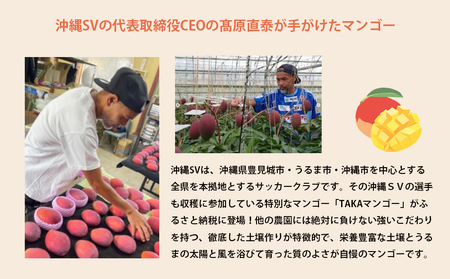 沖縄SV　TAKAマンゴー