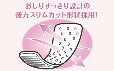 サラサーティSARA・LI・E（さらりえ）72個×5袋セット（ホワイトブーケの香り） いつもサラサラ【愛媛小林製薬】