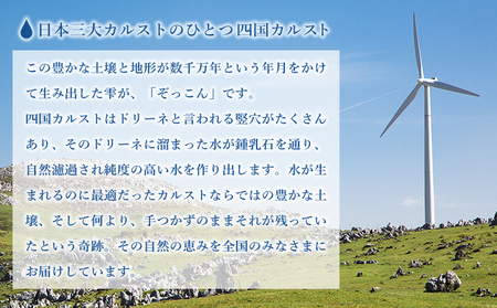四国カルスト天然水ぞっこん (12L×2本)×2ケース 計4本 NZS0008