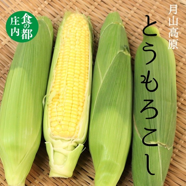 
                  食の都庄内　庄内の月山高原とうもろこし　※7月下旬～8月下旬発送
                