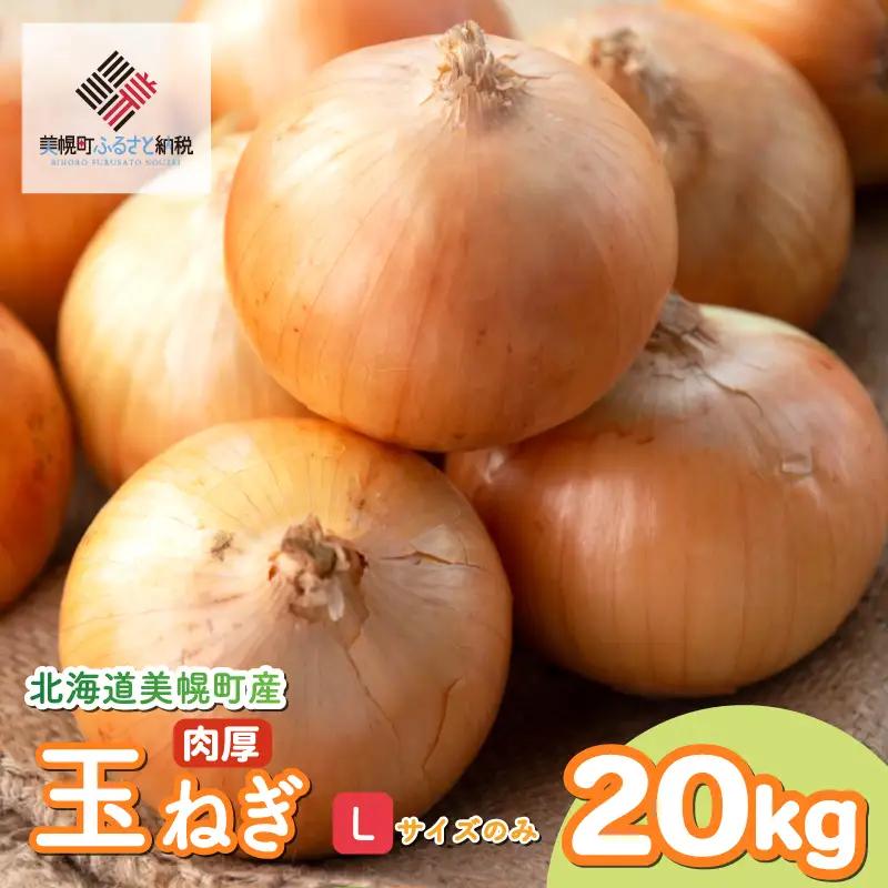 美幌産玉ねぎ Lサイズ 20kg 玉ねぎ
