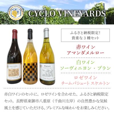 ふるさと納税 東御市 496ヴィンヤード プレミアムワイン3本セット (赤・白・ロゼ 各1本) |  | 01