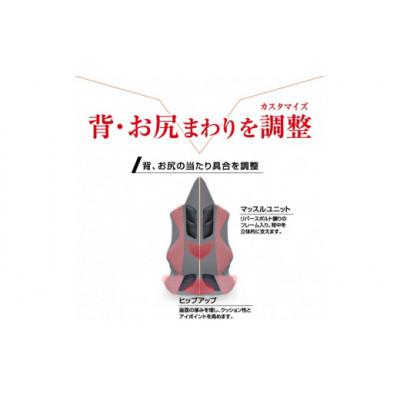 ふるさと納税 蒲郡市 自動車用シートクッション アメージングGT アルティメット　レッド×イタリアカラー_【G0062】 |  | 03