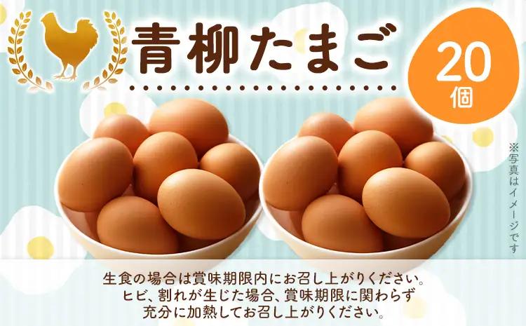卵  青柳たまご 20個  卵 