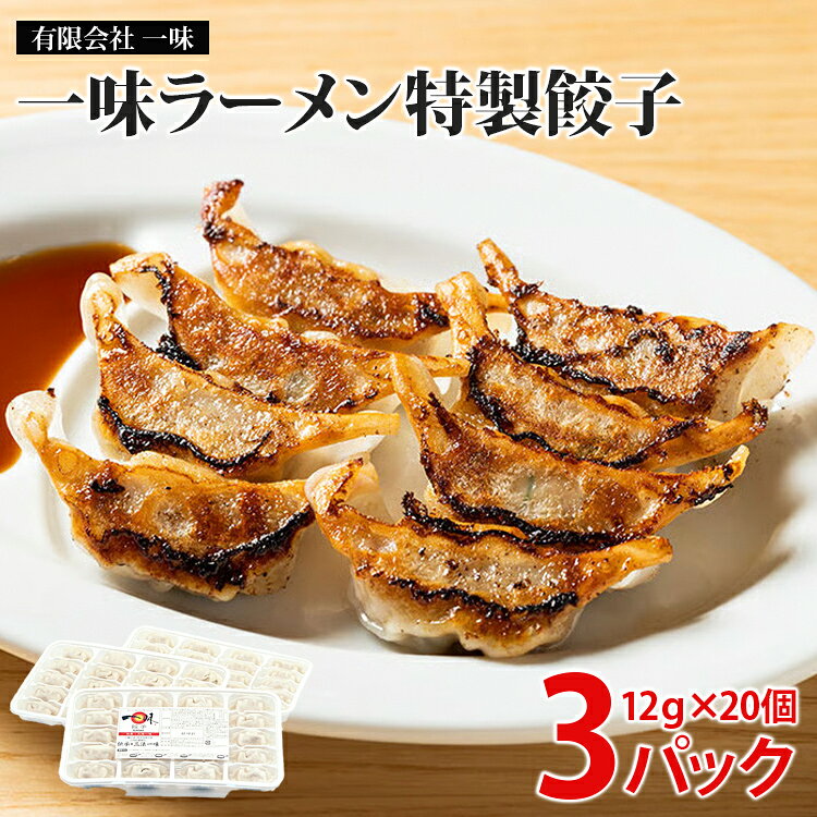 【ふるさと納税】餃子 一味 特製餃子 生餃子 冷凍餃子 ギョーザ 一味ラーメン 福岡 野菜餃子 生冷凍 焼き餃子 水餃子 鍋 ジューシー シャキシャキ 惣菜 中華 晩酌 おつまみ