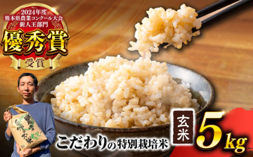 【先行予約】 【令和7年度】 くまさんの輝き 玄米 5kg (1袋) （2025年10月下旬ごろ順次発送） 【坂本農園】 [AYCC020]