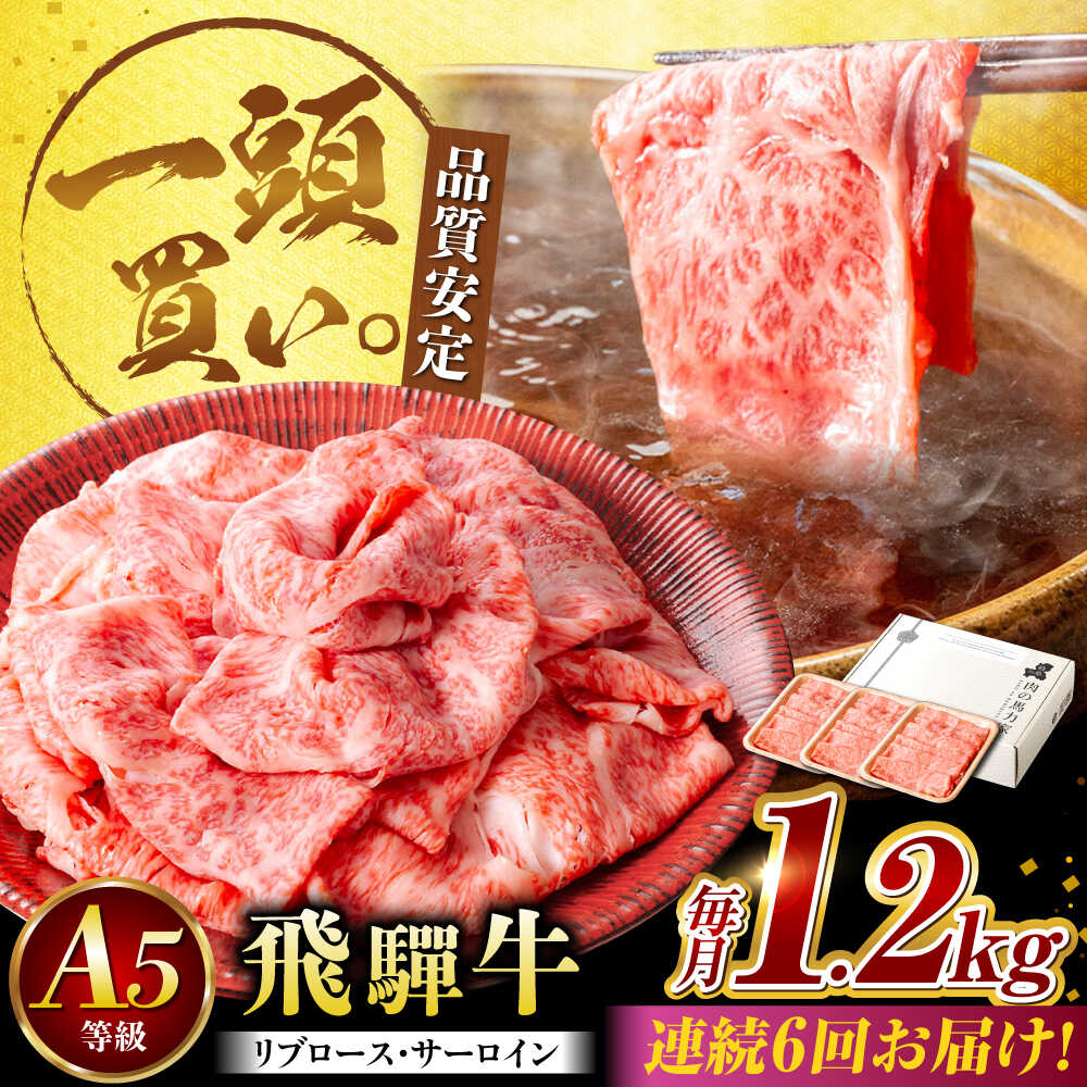 【ふるさと納税】【6回定期便】飛騨牛サーロイン・リブロース 1.2kg(400g×3パック) すき焼きしゃぶしゃぶ用肉 / カルビ 牛肉 焼肉 / 御嵩町 / 馬力家[AVBO028]