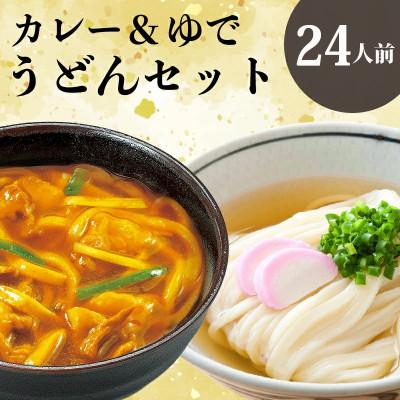ふるさと納税 丸亀市 さぬきうどん&amp;カレーうどん 24人前 詰合せセット ダシ・スープ付き