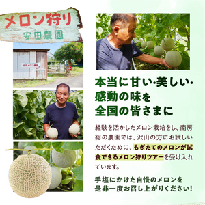 【頒布会】千葉アクアメロン1玉（1.2Kg）【10ヶ月連続お届け】 mi0018-0007